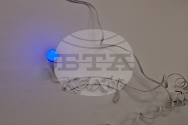 Яра Бубнова - изложба - лев