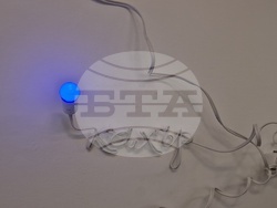 Яра Бубнова - изложба - лев