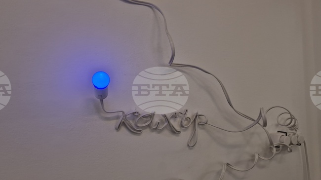 Яра Бубнова - изложба - лев