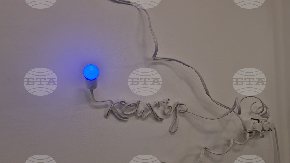 Яра Бубнова - изложба - лев