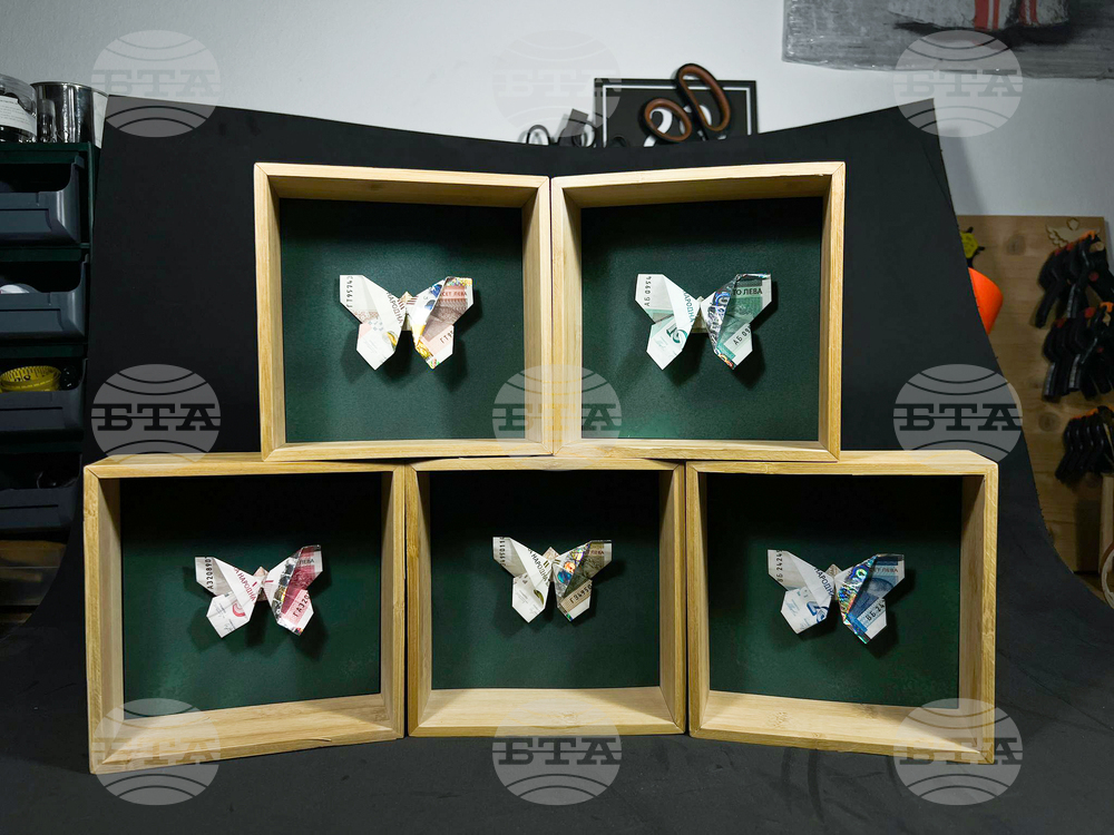 Яра Бубнова - изложба - лев