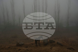 India Kashmir Weather