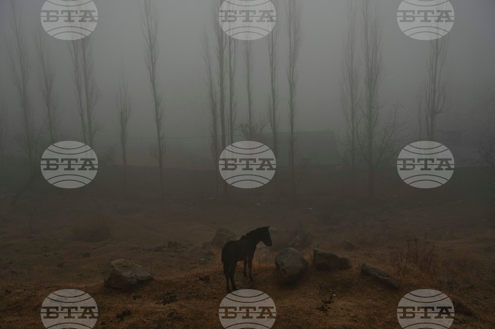 India Kashmir Weather