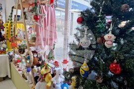 Търговище - Теменужка Стефанова - шивашки услуги