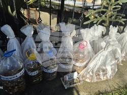 Снимка: Община Разград