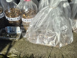 Снимка: Община Разград