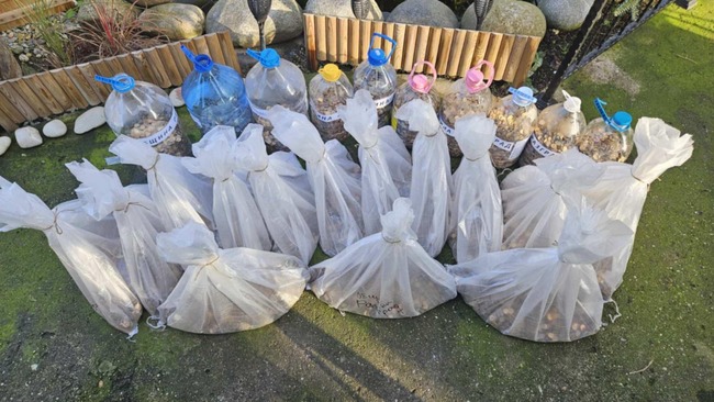 Община Разград: Още 305 кг. стотинки от Разград за кампанията „Аз вярвам и помагам“