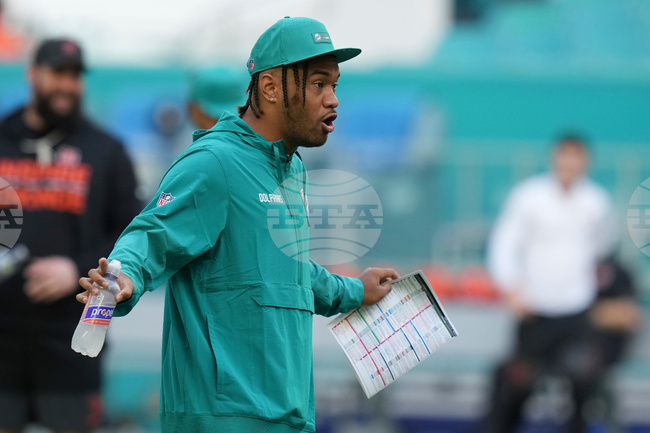 Bengals Dolphins Football