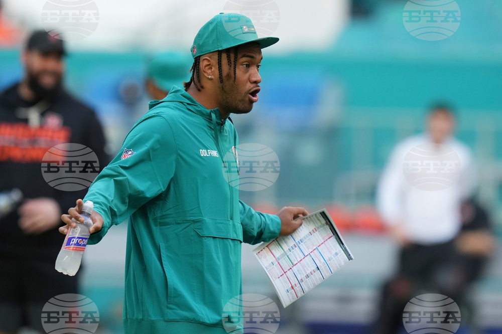 Bengals Dolphins Football