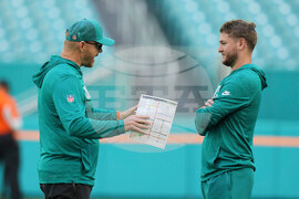 Bengals Dolphins Football