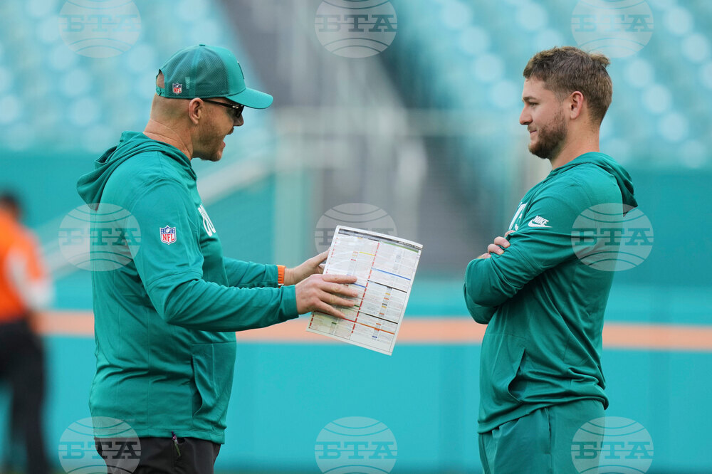 Bengals Dolphins Football