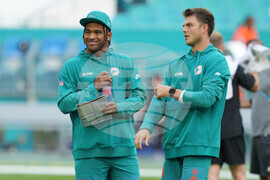 Bengals Dolphins Football