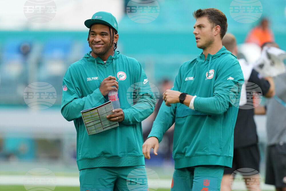 Bengals Dolphins Football