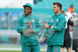 Bengals Dolphins Football