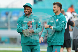 Bengals Dolphins Football