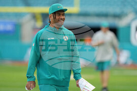 Bengals Dolphins Football