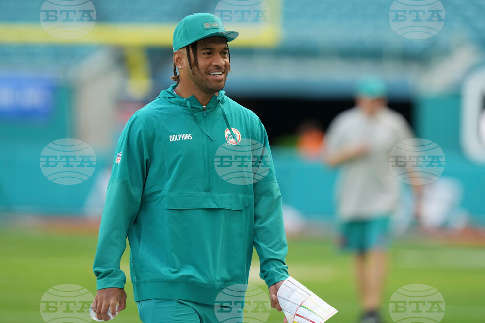 Bengals Dolphins Football