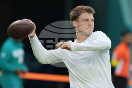 Bengals Dolphins Football