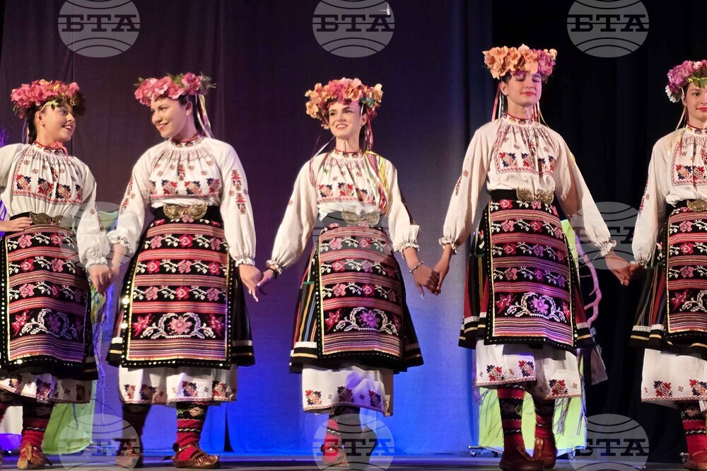 Видин - „Самодива и караконджол“ - спектакъл