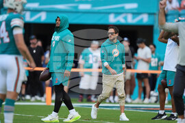 Bengals Dolphins Football