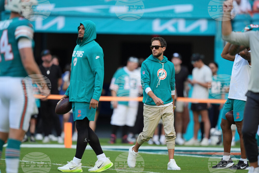 Bengals Dolphins Football