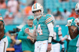 Bengals Dolphins Football