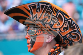 Bengals Dolphins Football