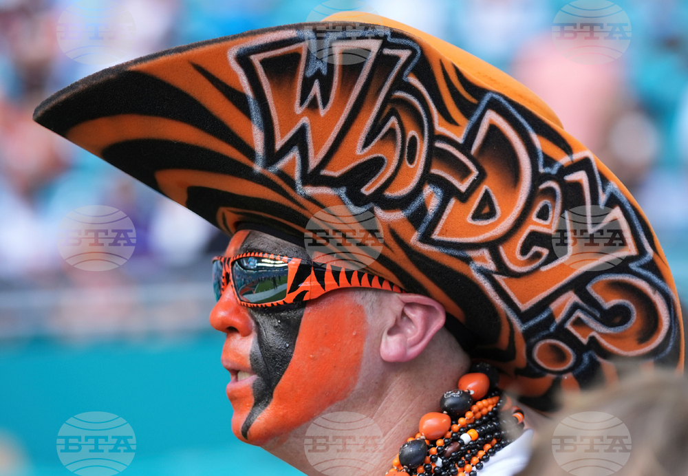 Bengals Dolphins Football