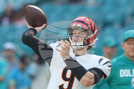 Bengals Dolphins Football