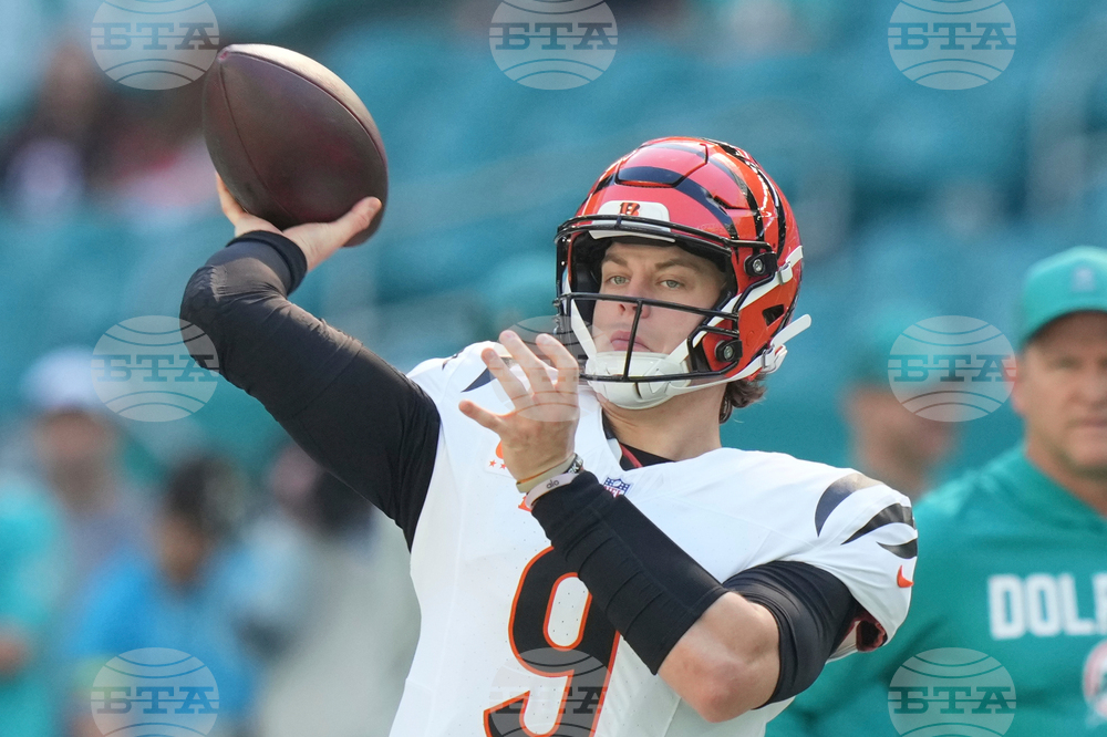 Bengals Dolphins Football