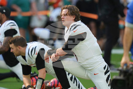 Bengals Dolphins Football