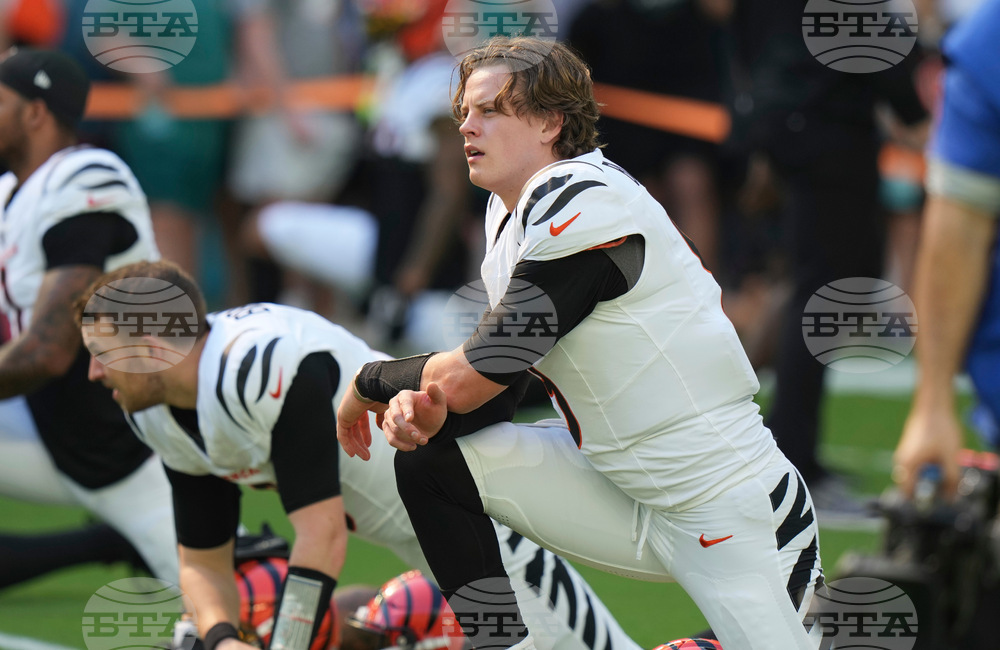 Bengals Dolphins Football