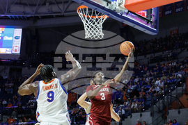 Colgate Florida Basketball