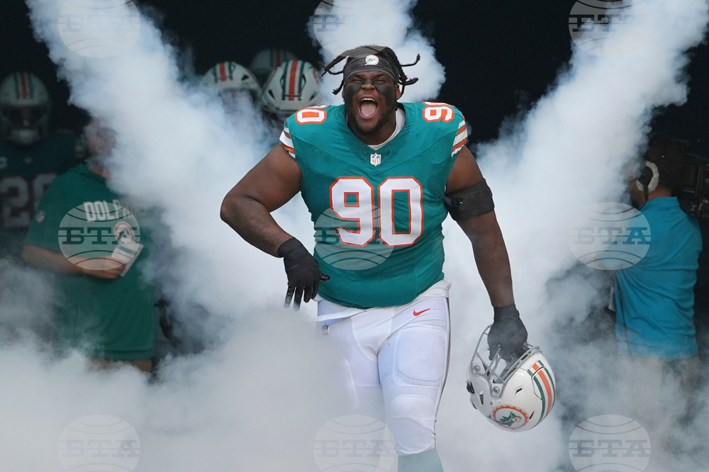 Bengals Dolphins Football