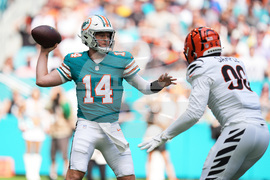 Bengals Dolphins Football