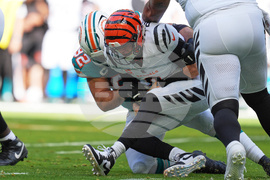 Bengals Dolphins Football