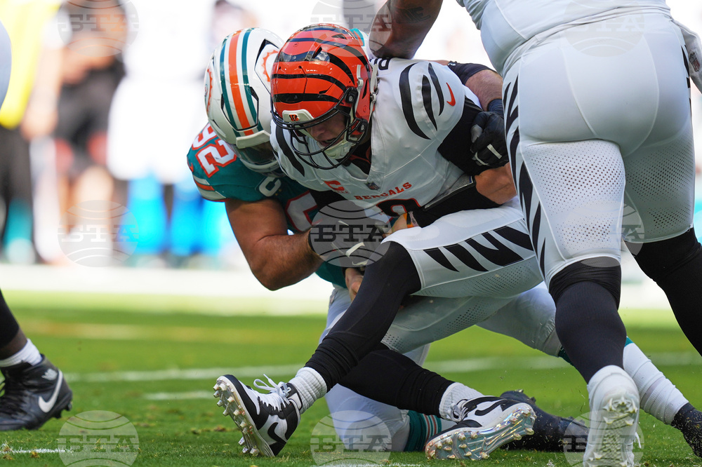 Bengals Dolphins Football