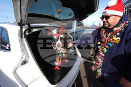 Jaguars Broncos Football