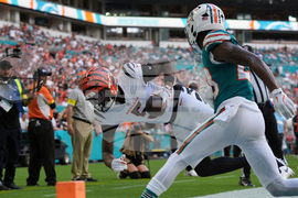 Bengals Dolphins Football