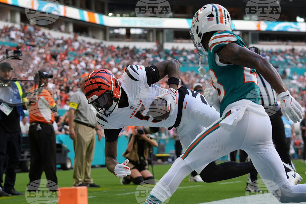 Bengals Dolphins Football