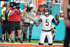 Bengals Dolphins Football