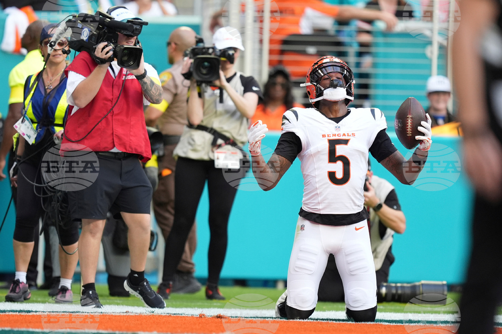 Bengals Dolphins Football