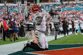 Bengals Dolphins Football