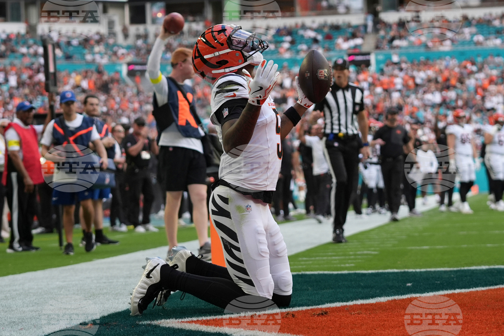 Bengals Dolphins Football