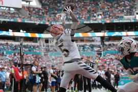 Bengals Dolphins Football