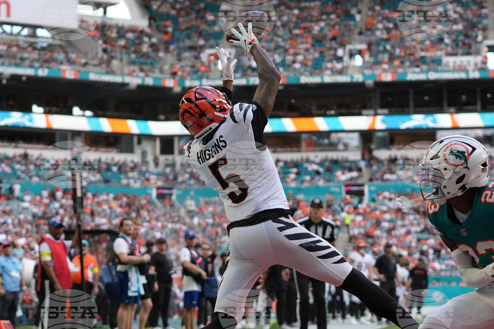 Bengals Dolphins Football