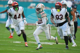 Bengals Dolphins Football