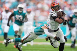 Bengals Dolphins Football