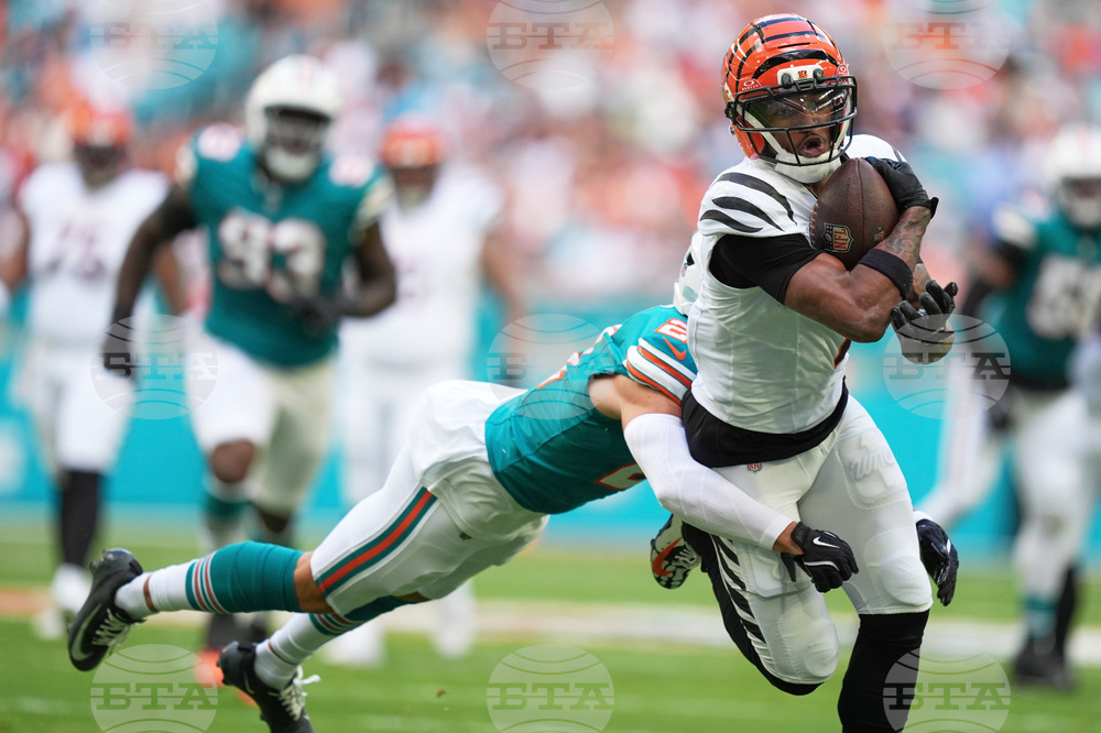 Bengals Dolphins Football