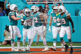 Bengals Dolphins Football